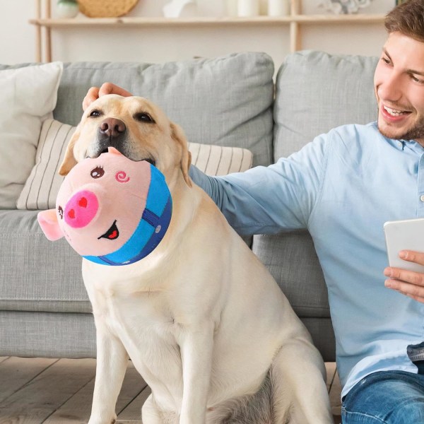 Aktivt bevægeligt kæledyrsplyslegetøj, interaktivt hundegrislegetøj, kæledyrshoppende bolde