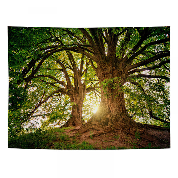Väggbonader Väggbonad för sovrumsdekoration Natur Skog Gobeläng Trä Gobeläng Landskap Mörkgrön Gobeläng Dekor Poster, 59\" L x 51\" W grön