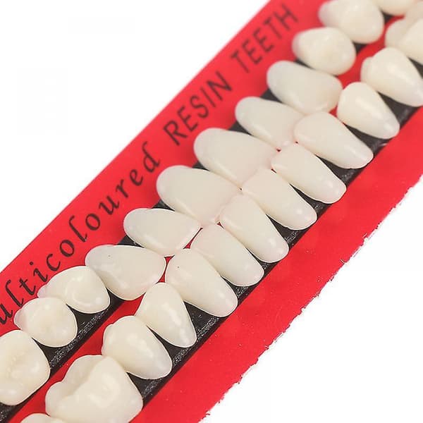 28 kpl Universal Resi False Teeth Resin Teeth Model