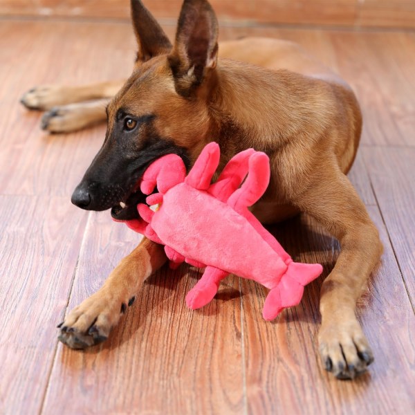 Hunde plyschlegetøj - Squeaky Puppy Chew Toy til tandfrembrud, træning, Boredo