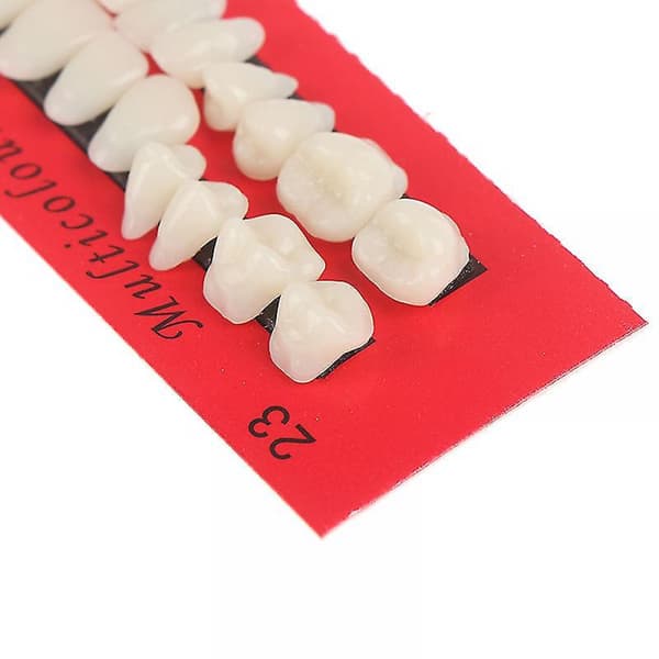 28 kpl Universal Resi False Teeth Resin Teeth Model