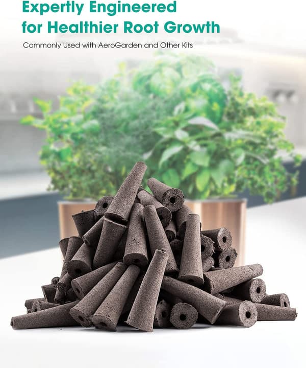 Plante Svamp, Rotvekst Svamp, Generasjon Planter Starter Erstatning