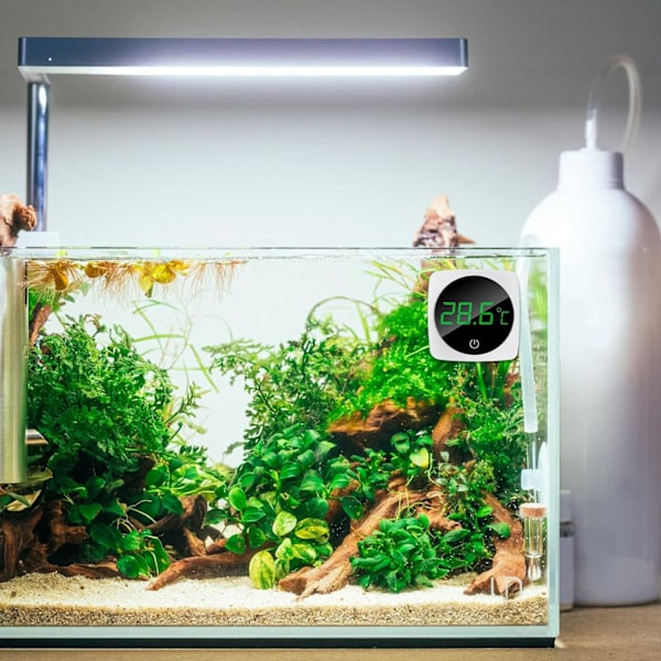 3PCS Digital Akvarietermometer Miniatyr Akvarium Extern Fastsatt
