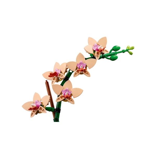 Lego Botanical Collection 10343 Miniorkidé