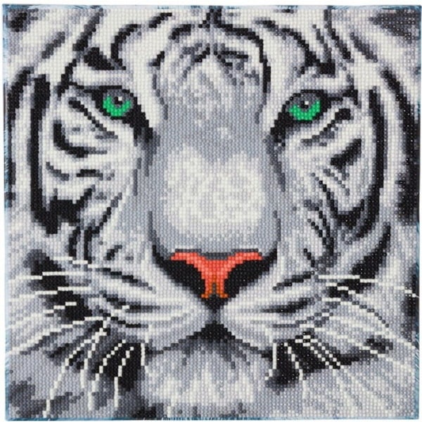 Diamantmålning Canvas 30x30 cm, Vit TIger