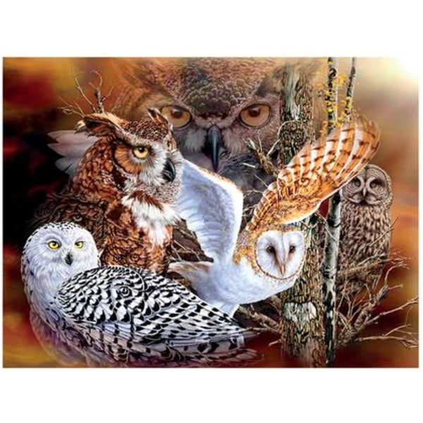 Kartta 3D Owl Group - Krabat