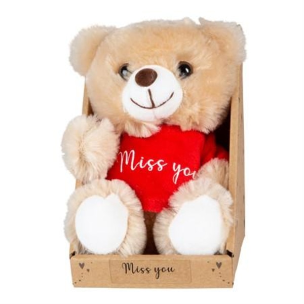 Valentine Teddybjörn Miss You