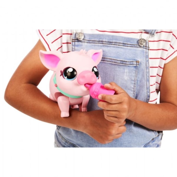 Små levende kæledyr Piggy the pig