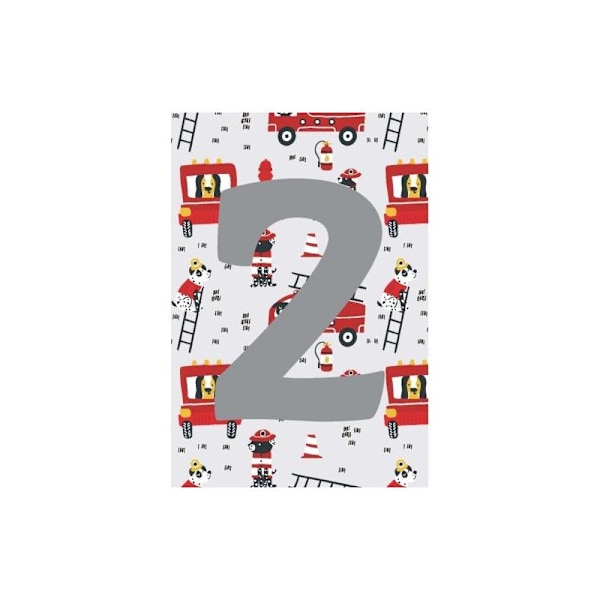 Tuplalapsikortti numerolla, 2 vuotta - Pata