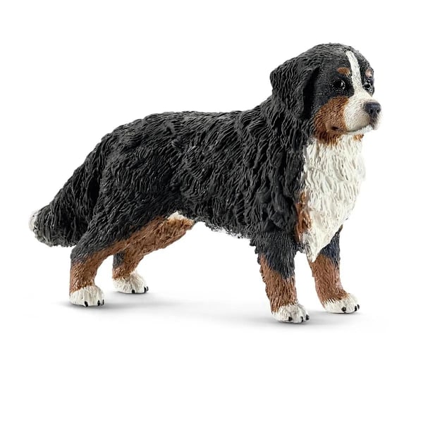 Berner Senner, Tik - Schleich