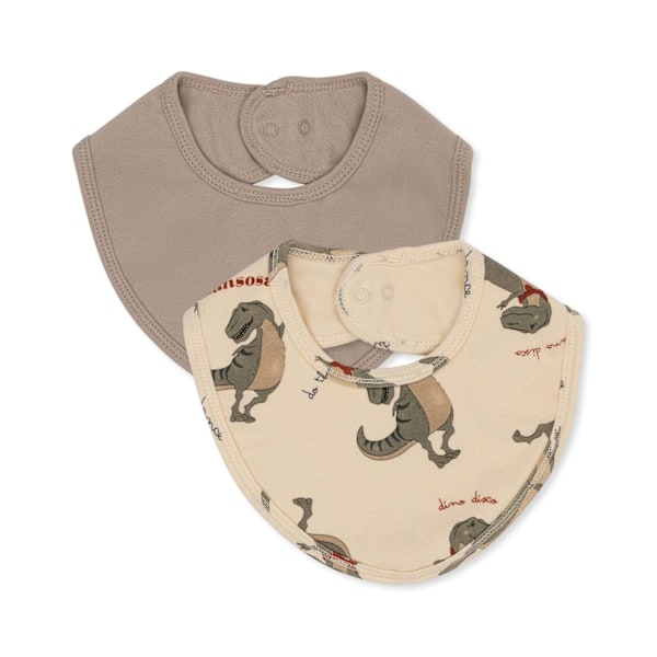 Basic Dreglis 2-pak Dansosaurus/sten - Konges Sløjd Multicolor