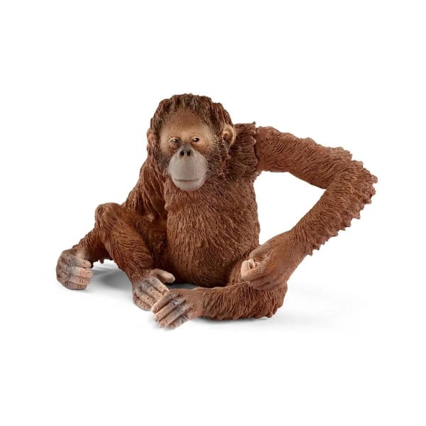 Orangutang, hun - Schleich
