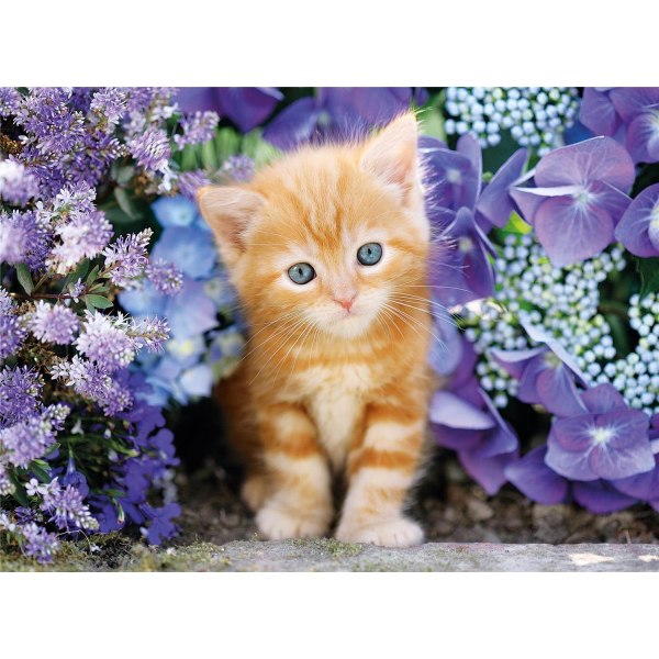 Clementoni High Quality Collection Pussel Ginger Cat, 500 Bitar