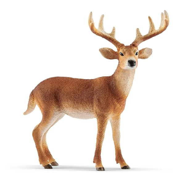 Vitsvansad Hjort Bock - Schleich