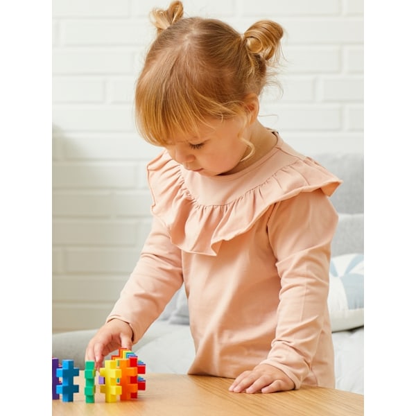 Plus-Plus BIG Learn to Build