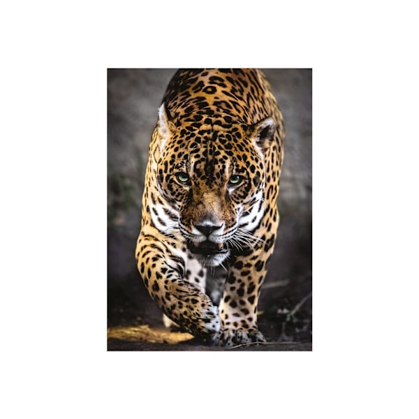 Clementoni Puzzle Walk of the Jaguar, 1000 brikker