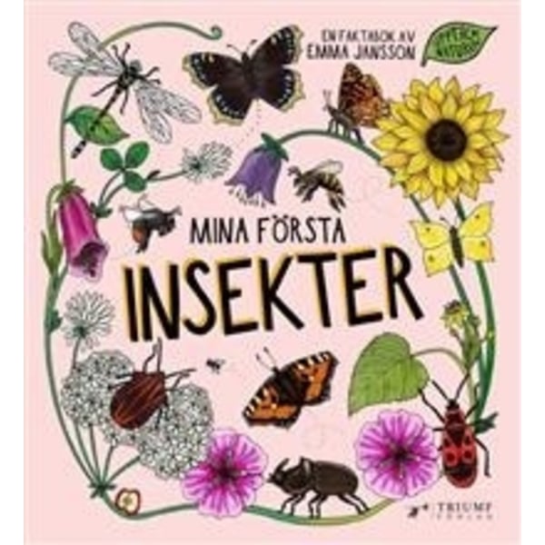 Mina första insekter