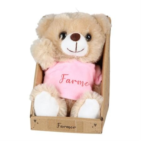 Valentine Teddybjörn Farmor
