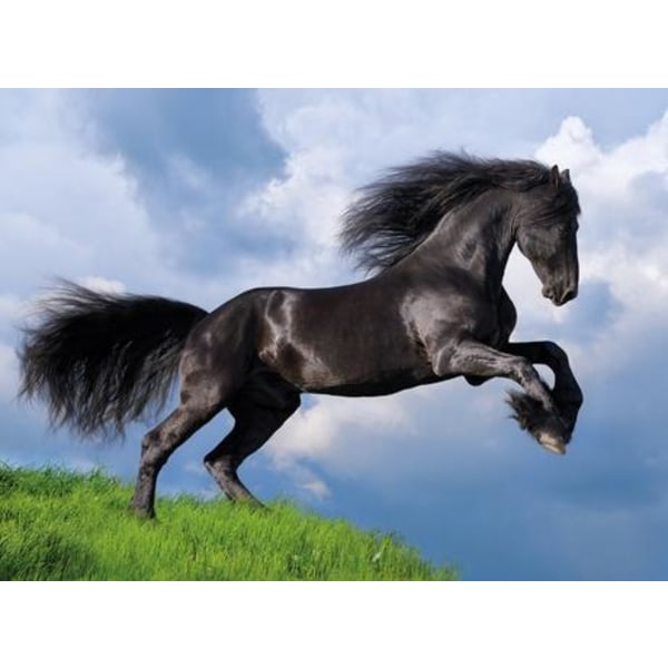 Clementoni High Quality Collection Black Horse, 500 kpl