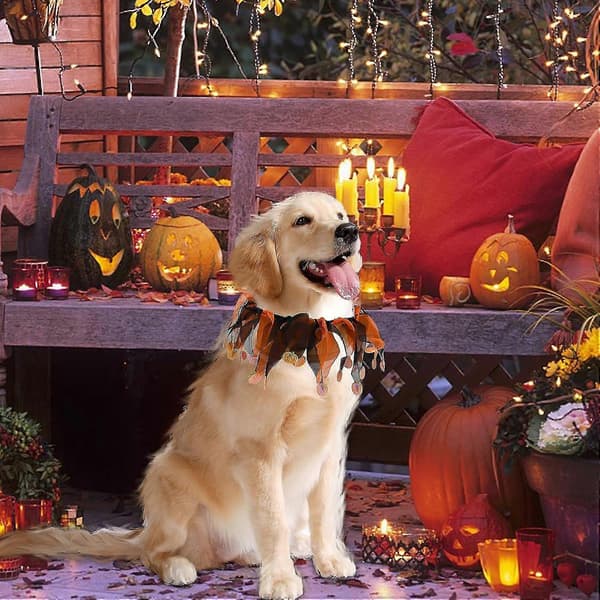 Elastisk græskarhalsbånd til kæledyr Halloween-dekorationskostumetilbehør til hunde og katte Halloween