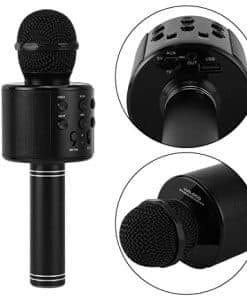 JULKLAPP KTV bluetooth karaoke WS-858 WSTER vaalea kulta
