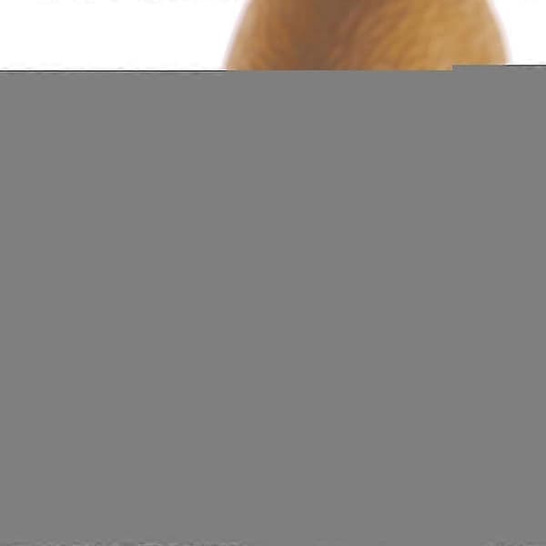 Simulering Mini Sød Vilde Dyr Model Figurer Capybara Samling Legetøjsgave—ls A2