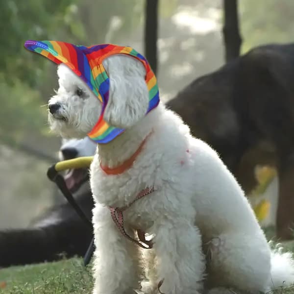 Hat til hund Sommer Hund Baseballkasketter Kæledyr Hvalpevisirhatte Solhat