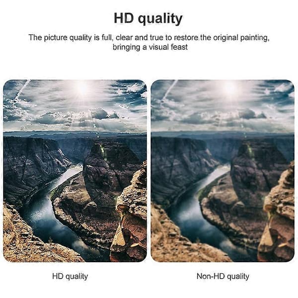 DisplayPort han til HDMI hun-adapter (sort) Black