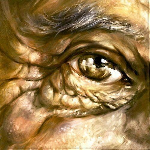 The Willows Beneath Our Humble Soil CD (2013) UUSI—ls CD CD