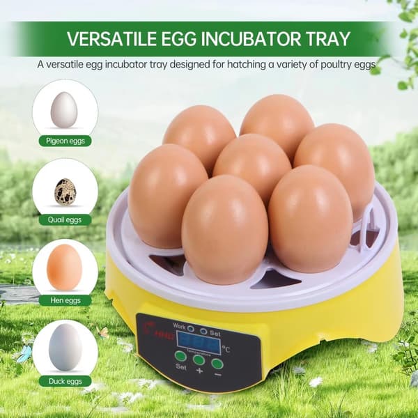 Helautomatisk egginkubator for fjærfe, 7 egg, temperaturkontroll, fugl, kylling, eggklekkemaskin—ls