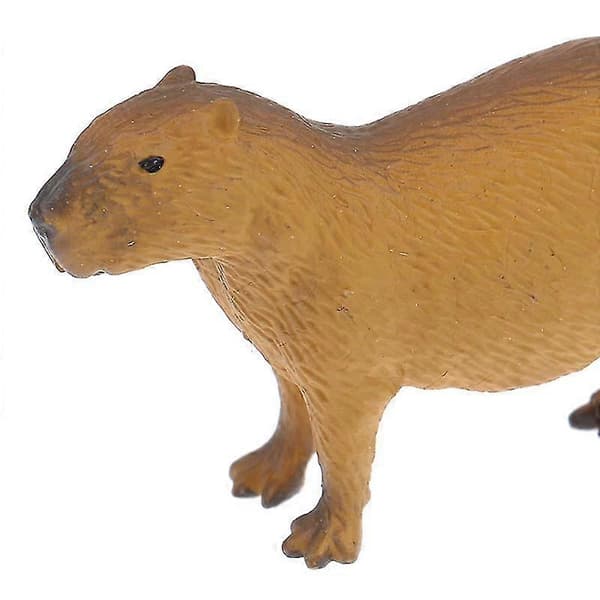 Simulering Mini Søte Villdyr Modell Figurer Capybara Samleleke Gave—ls A1