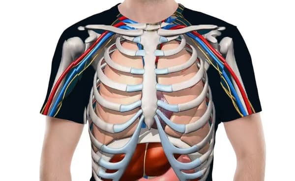 Halloween T-paita - Kehon anatomia Sisäelimet T-paita 3D-printti C
