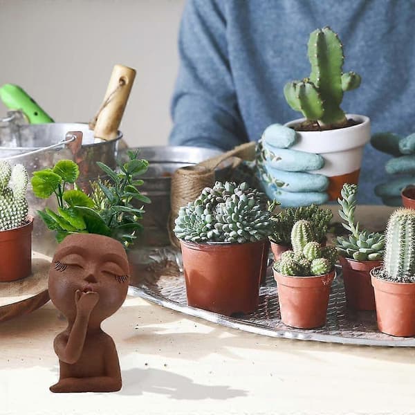Ansiktsplanter, Hodeplanter, Damehodeblomsterpotte, Jenteansiktsblomsterpotte/[ls] Brown
