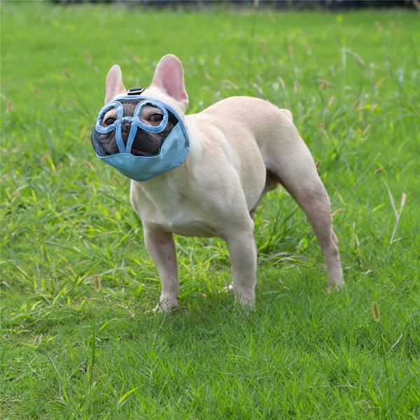 Kort nos hundmunstycke - Justerbart andningsbart mesh bulldogmunstycke för bitning tuggning slickning grooming hundmask, blå, L