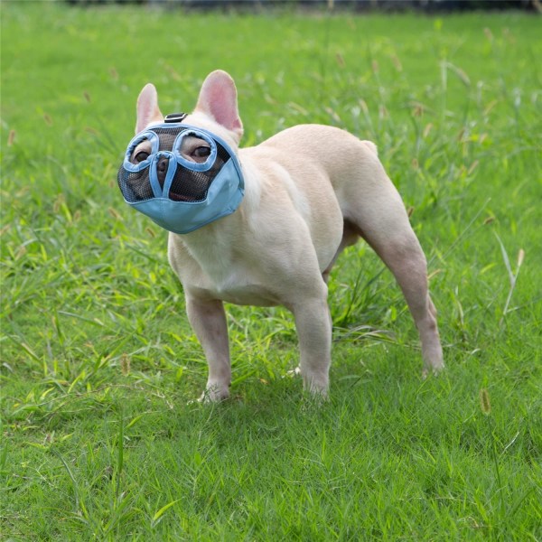 Kort snude hundemundkurv - Justerbar åndbar mesh bulldog mundkurv til bidende tygge slikke pleje hundemaske, blå, M