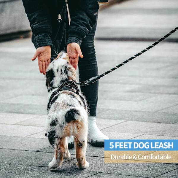 Hundehalsbånd med komfortabelt polstret håndtak og svært reflekterende tråder for små, mellomstore og store hunder (5FT-1/3'', svart)