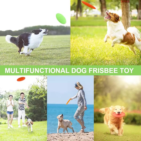 Blå Dream 3-pack hundfrisbees - 22 cm - Gummi