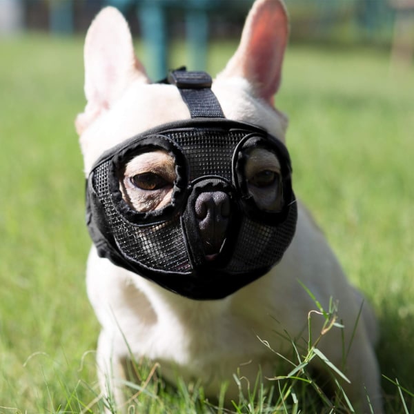 Short Snout Dog Muzzle- Adjustable Breathable Mesh Bulldog Muzzle for Biting Chewing Licking Grooming Dog Mask,Black,S