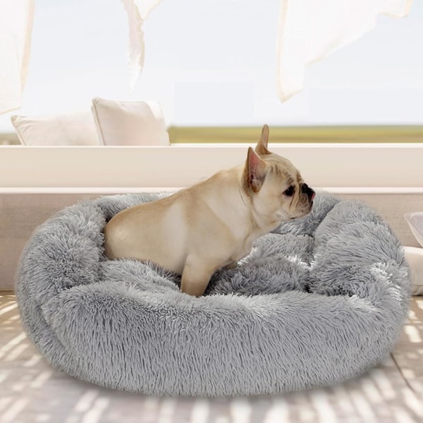 Rektangulär hundkorg hundkudde plysch kattbädd, tvättbar kattkudde plysch djur husdjursbädd kudde lämplig varm för höst vinter användning (XS, antracit)