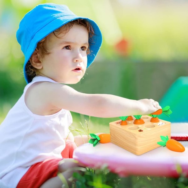 Montessori-legetøj til 1 år gammel, trælegetøj Udviklingsform Sortering og matchning af puslespil Gulerødder Høstspil, fødselsdagsgaver