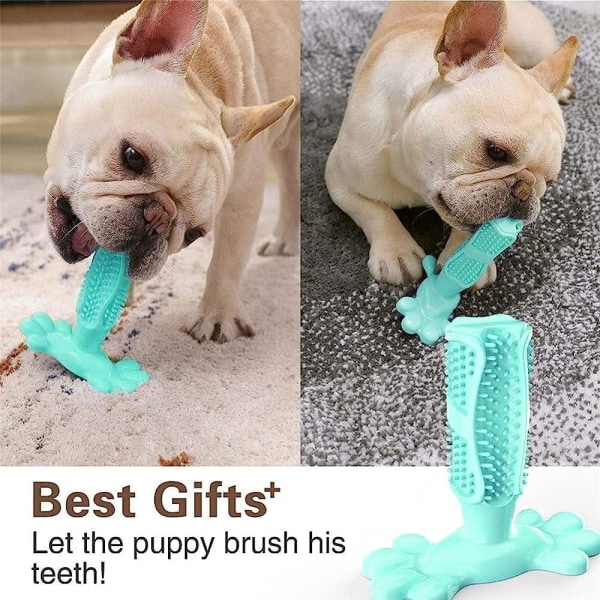 Hundtugga gummileksaker Hundtandborste Tänderrengöring leksak Hund Tandborstar för husdjur Borststicka/B/Medium