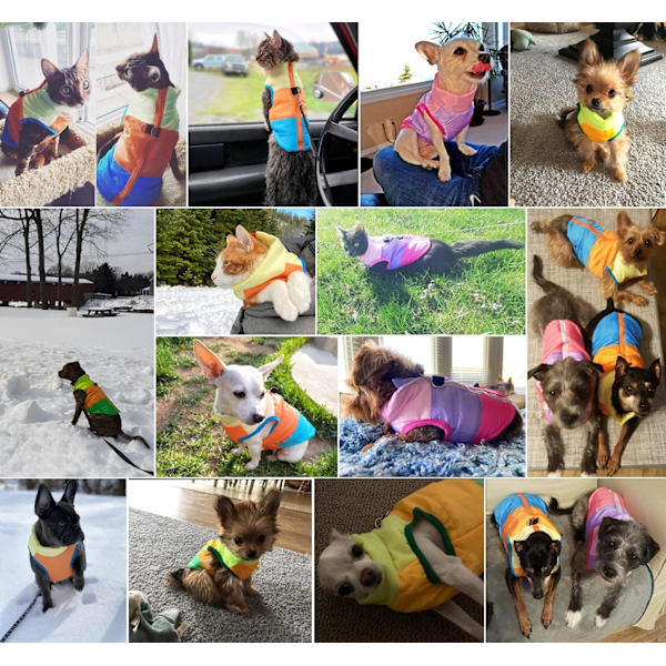 Hund- och kattkappa med koppelögla, färgglada lappar, vadderad valpväst, jacka, nallebjörn, chihuahua-kostymer, mopskläder (Large (1-pack), himmelsblå)