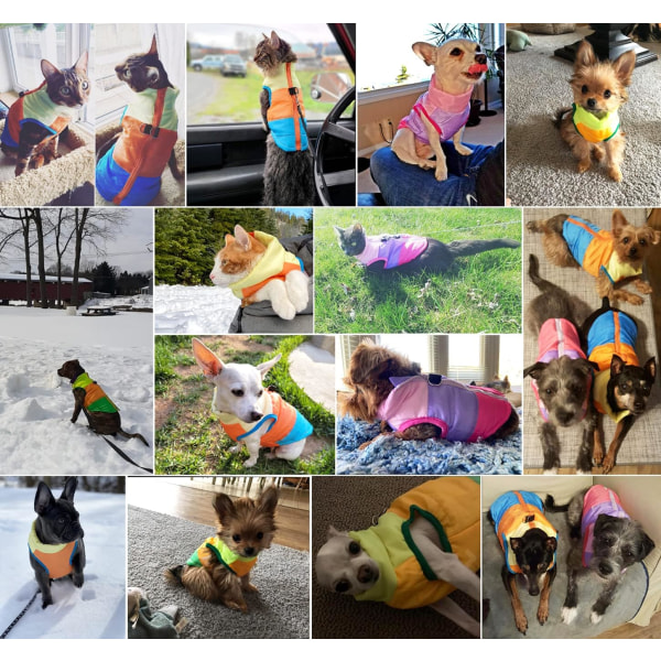 Hunde- og kattefrakke med snorfastgørelsesfarve patchwork polstret hvalpevest jakke Teddy Chihuahua kostumer Pug klæde (X-Small (pakke med 1), himmelblå)