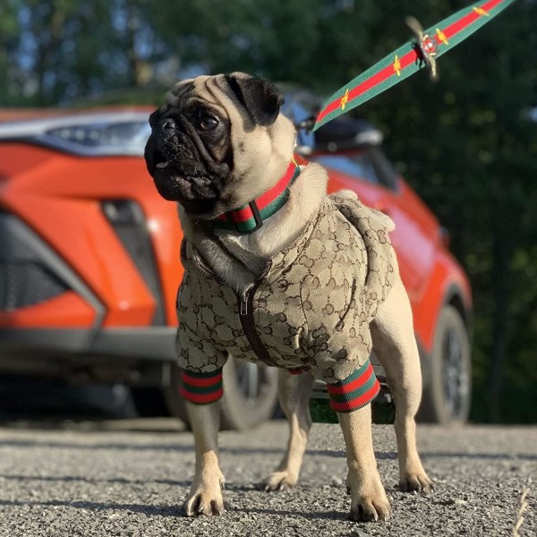 Hundtröja Lyx Hundkläder Vinter Design Liten Hundrockar Varm Husdjur Hundrock Dragkedja Design Lätt På/Av Fransk Bulldog Teddy Mops Valp Kläder(XXL)