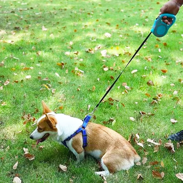 Optrækkelig hundesnor Letvægtssnor med skridsikkert håndtag, til små mellemstore hunde (gråblå, 16FT)