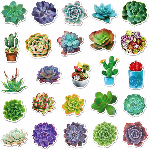 Cactus Plants Stickers Pack for Water Bottle Laptop Scrapbooking Phone Skateboard Suitcase Gifts Perfect Fit for Children,Teens,Adults(50 PCS)