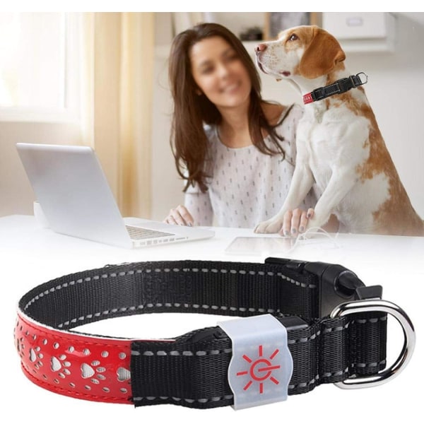 Kjæledyrhalsbånd, LED-hundehalsbånd, LED-hundehalsbånd, oppladbart lysende halsbånd for kjæledyr, katt, valp (rød, S-kode)