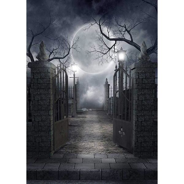 Halloween-tema fotobakgrunn, skummel Halloween, mørk skrekkmåne og døde trær, festdekorasjon, fotostudiorekvisitter, bakgrunner, bod 5x7 fot