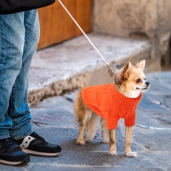 Lille hundetrøje, kold vejr kabelstrik, turtleneck tykt varmt tøj til chihuahua, bulldog, gravhund, mops (orange, X-Large)