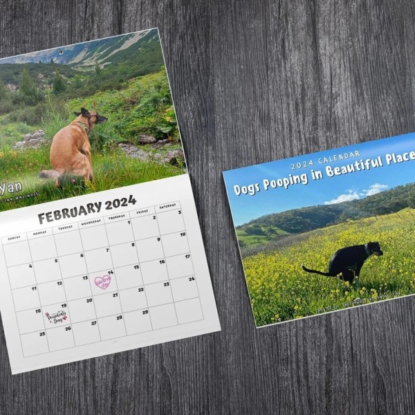 2024 Calendar of Dogs Pooping Beautiful Places | Wall Art Monthly Family Calendar | Calendar for Dog Gifts Gag Hanging-A